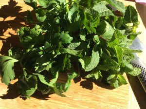 Fresh herbs : parsley and mint 